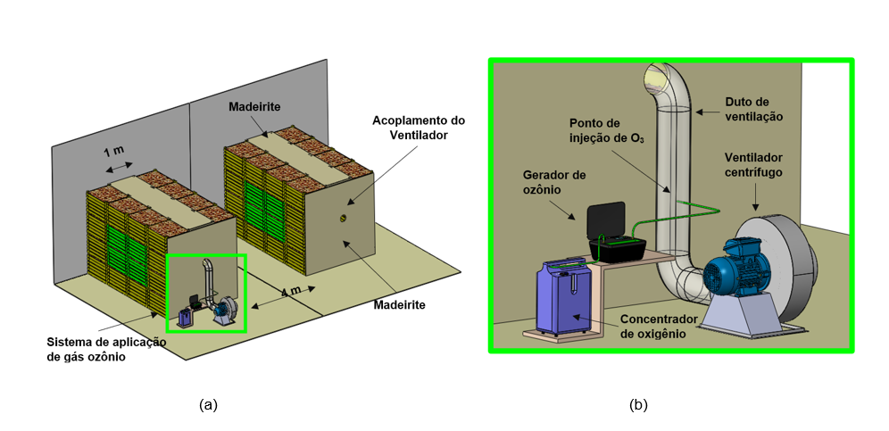 Disposição dos bins para a realização da cura e detalhamento do sistema de aplicação de gás ozônio