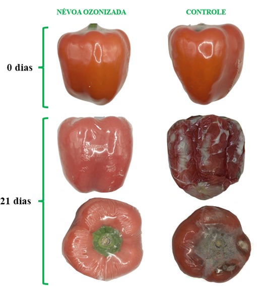 Névoa Ozonizada em pimentão vermelho com película protetora