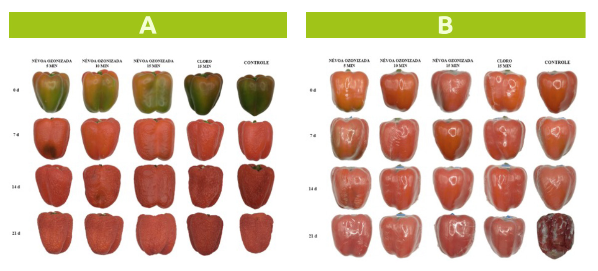 Névoa ozonizada em pimentão vermelho com e sem película - myOZONE