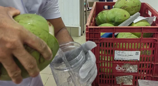 Pasteurização-de-água-de-coco-com-uso-do-ozônio