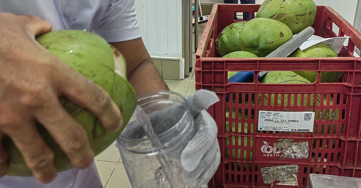 Pasteurização-de-água-de-coco-com-uso-do-ozônio