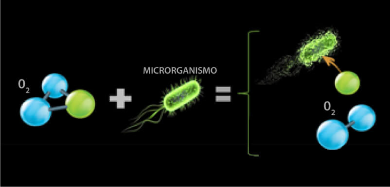 myozone_como-o-ozonio-age-em-microrganismos myozone_como-o-ozonio-age-em-microrganismos