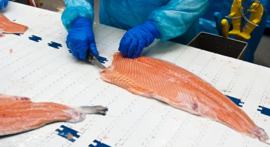 Ozônio na indústria do pescado