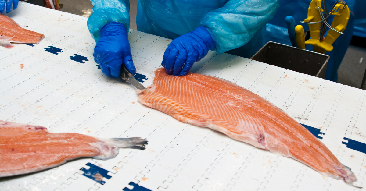 Ozônio na indústria do pescado