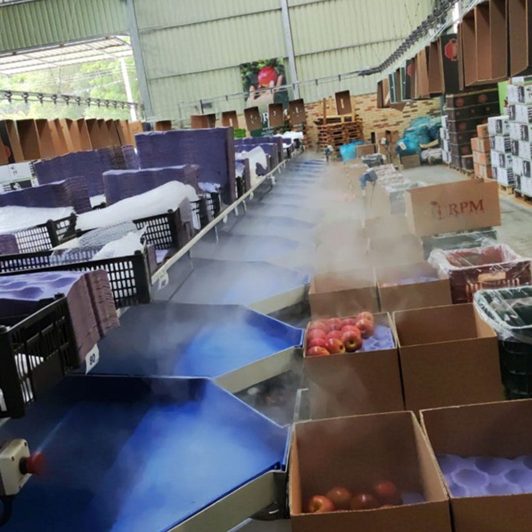 Descontaminação-de-alimentos Descontaminação-de-alimentos