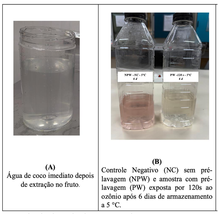 Figura 4. Efeito de aplicação de ozônio na inativação de enzima.
