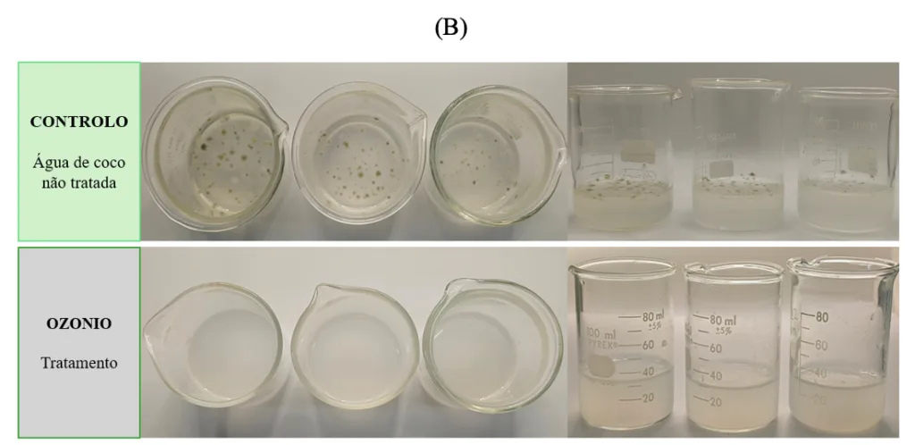 Resultado-de-inativação-de-contaminação-microbiológica-e-enzimático-observado