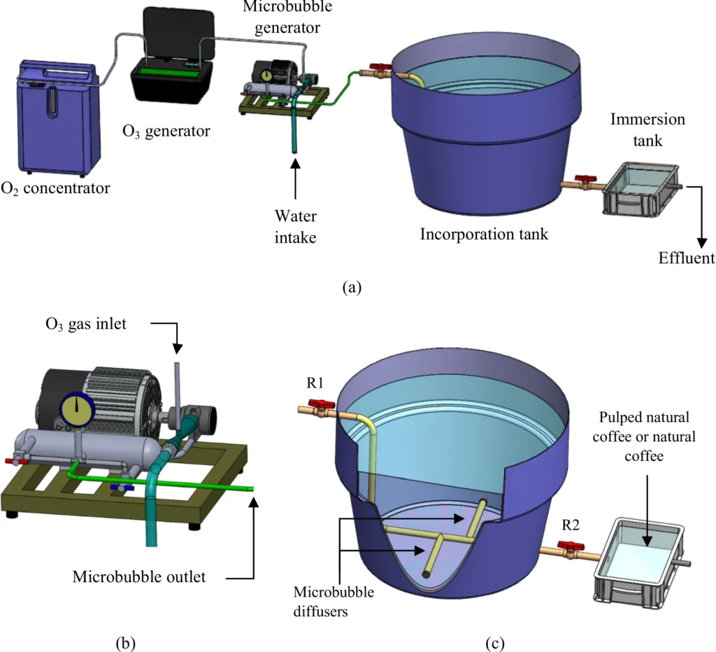 Ozônio em grãos de café com sistema de microbolhas