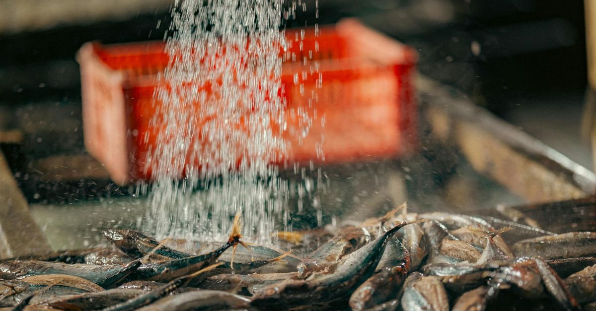 ozônio em pescado